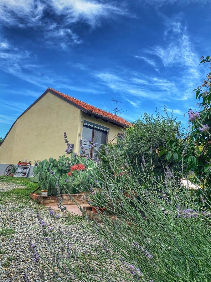 Ca' Degli Ovi B&B Valenza Exterior photo