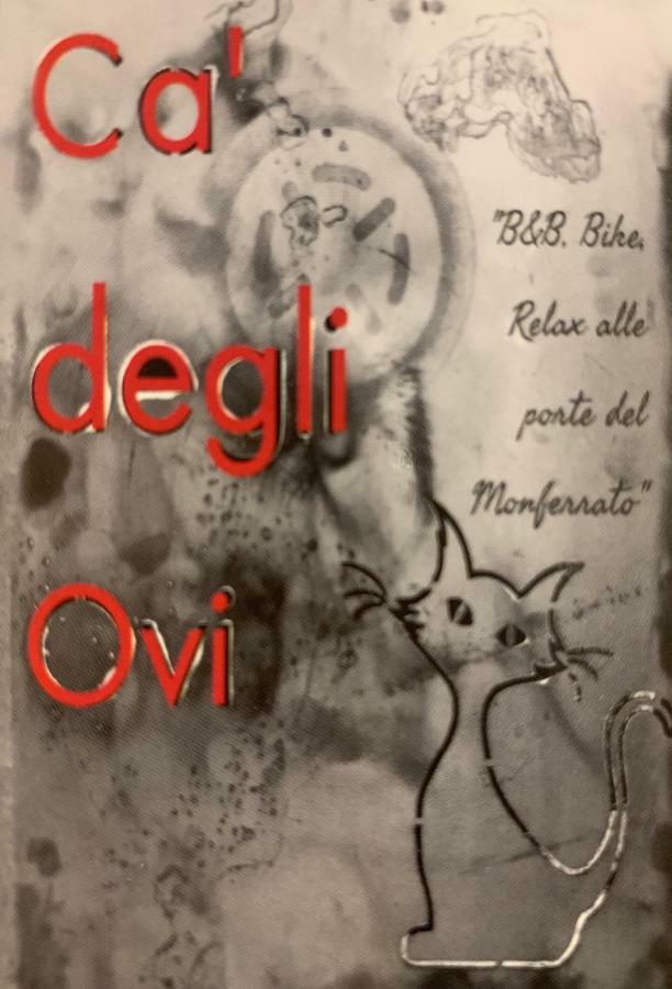 Ca' Degli Ovi B&B Valenza Exterior photo